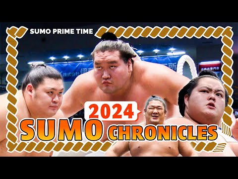 【SUMO 2024】A Year to Remember