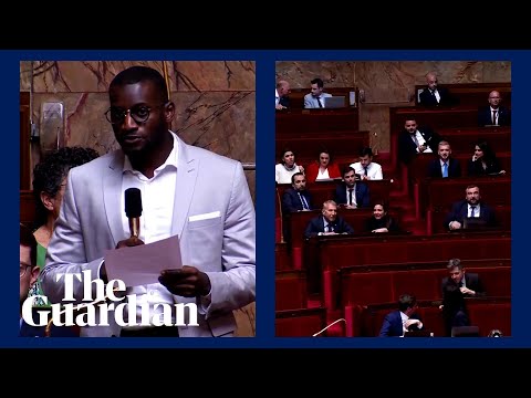 Moment a French lawmaker shouts &#039;Go back to Africa&#039; during fellow MP&#039;s speech